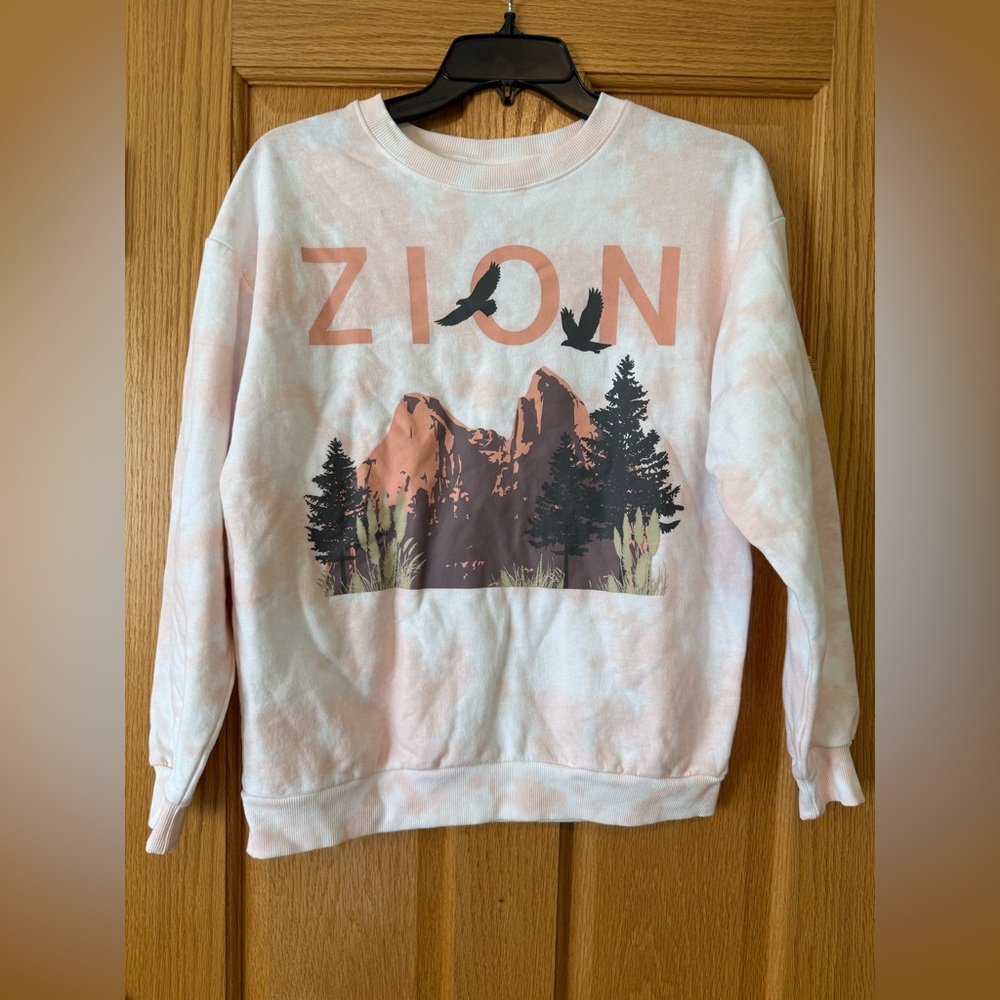 Zion Graphic Pink Sweatshirt